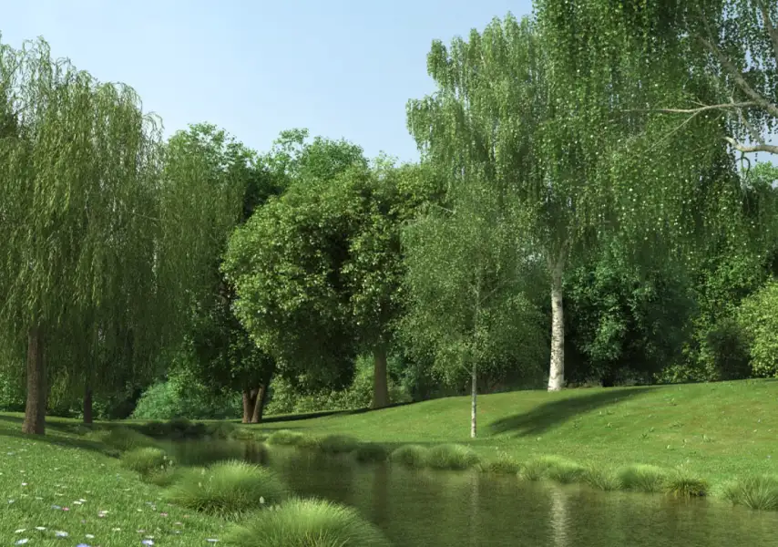 模漾网-50P- 公园森林园林景观户外场景树木-模型合集