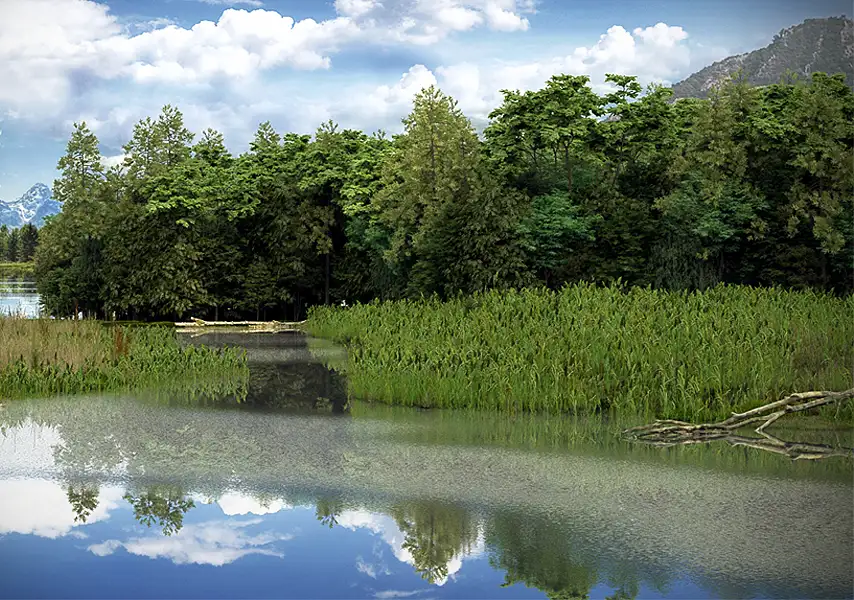 模漾网-54P-森林公园景观植物树木椴树油松柏树大树-模型合集