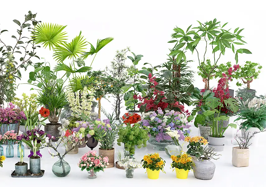 模漾网-56P-室内盆栽绿植花卉植物绿植玫瑰客厅摆件-模型合集