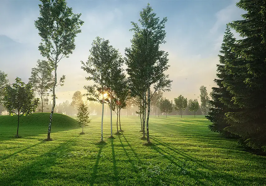 模漾网-54P-森林公园景观植物树木乔木松柏树大树-模型合集