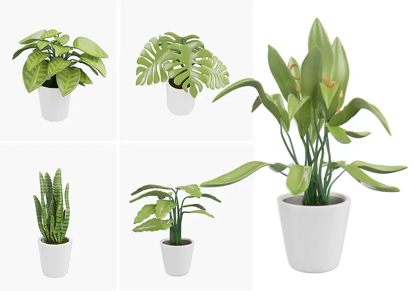 模漾网-15P-家居盆景绿植-3D Icon Pack