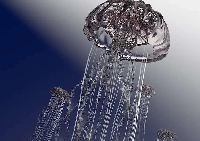模漾网-1P-jellyfish-水母-Cinema 4D-模型